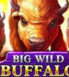 Big Wild Buffalo